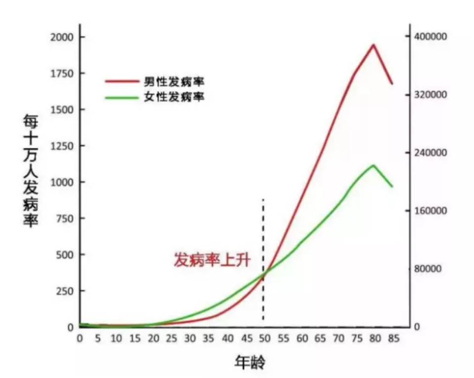 男女性重疾发病率