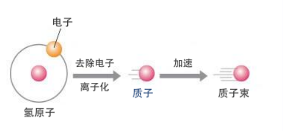 癌细胞DNA单链