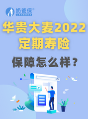 华贵大麦2022定期寿险怎么样？在哪里买？