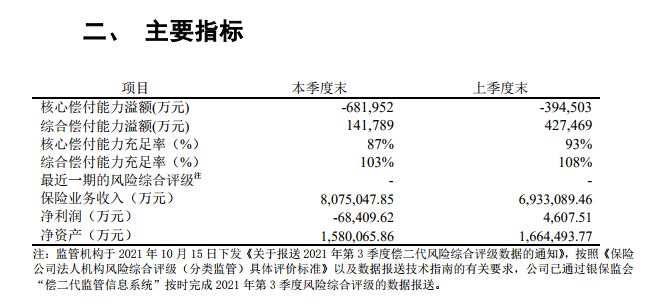 偿付能力