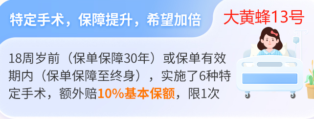 大黄蜂13号全能版特定手术保险金