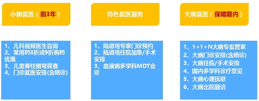 大黄蜂15号(旗舰版)重疾增值服务 大黄蜂15号(旗舰版)重疾增值服务