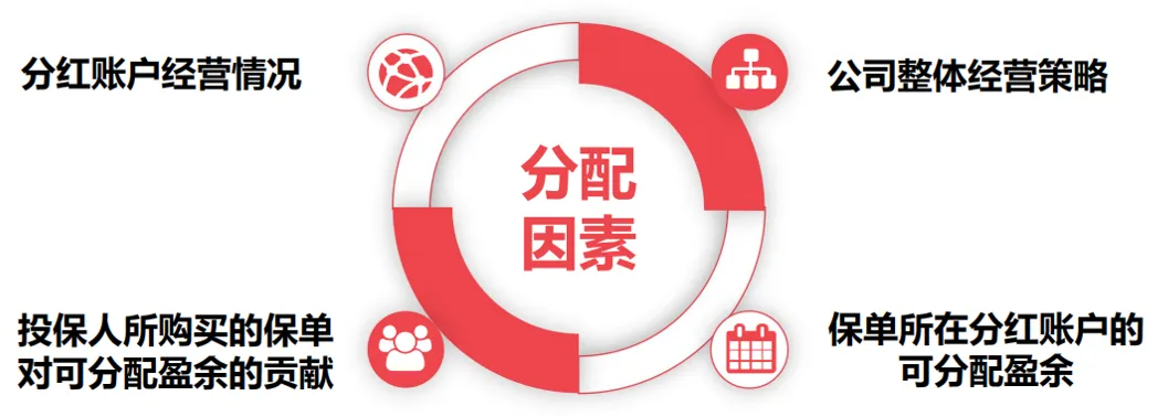 影响分红险的分配因素