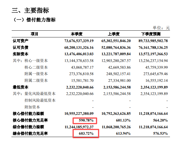 国民养老偿付能力