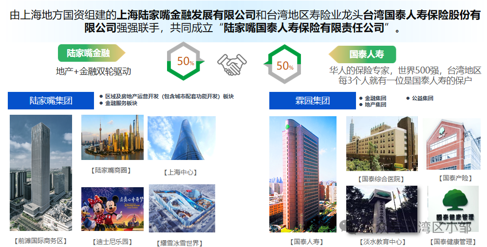 陆家嘴国泰人寿股东