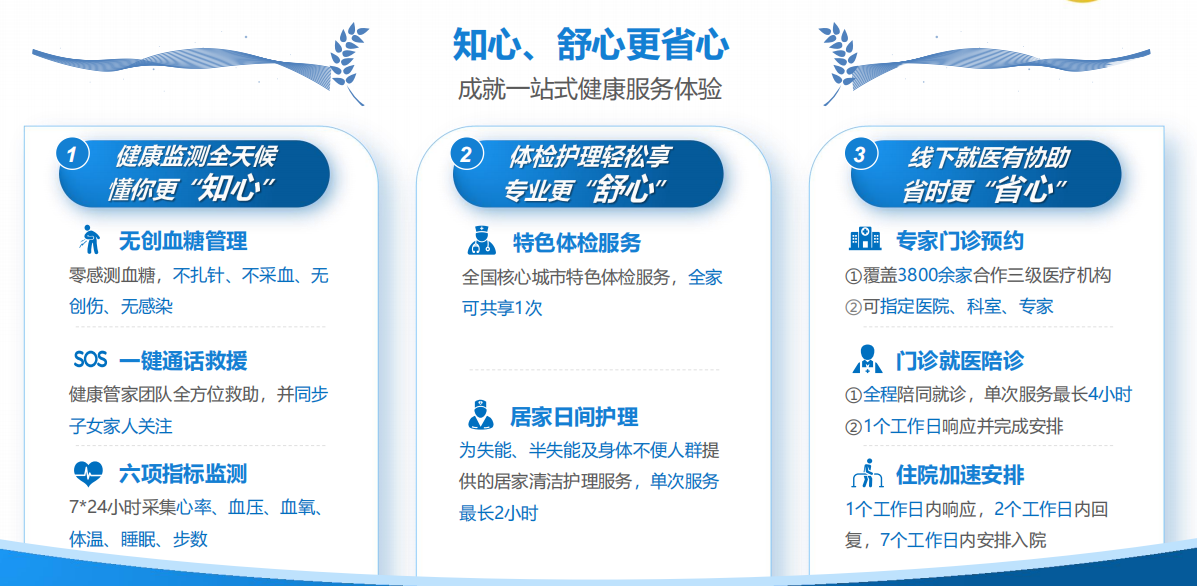 图片7