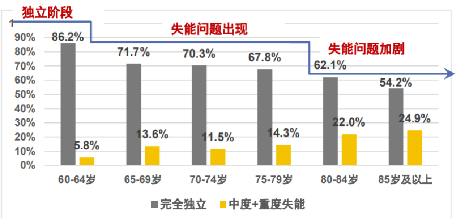 2018-2019中国长期护理调研报告