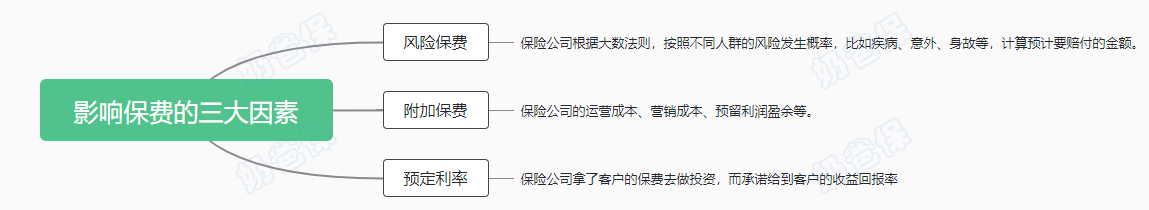 影响保费的因素