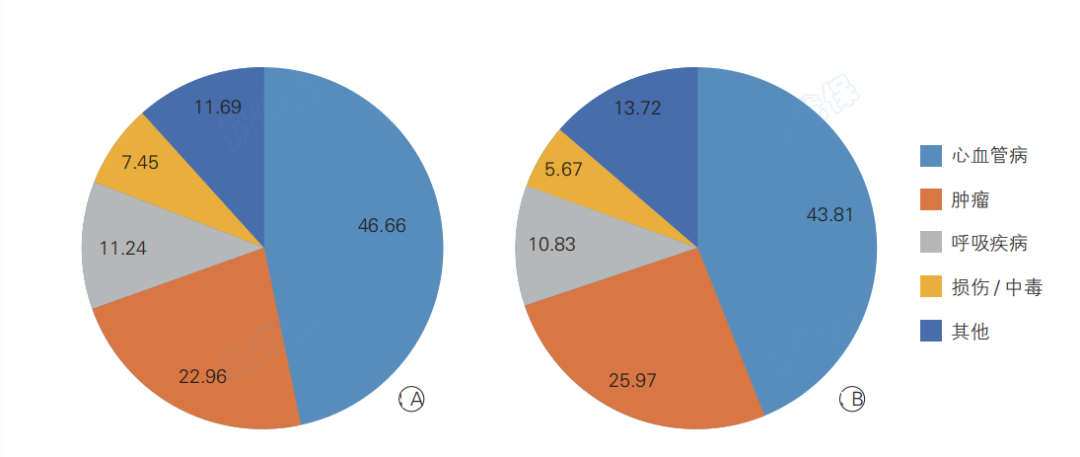 2018年中国农村居民（A）和城市居民（B）主要疾病死因构成比