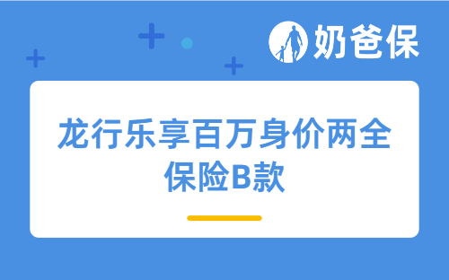 龙行乐享百万身价两全保险B款的保障怎么样？有什么同类产品推荐？