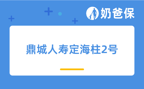 鼎城人寿定海柱2号调整了什么内容？2022年定期寿险哪个产品好？