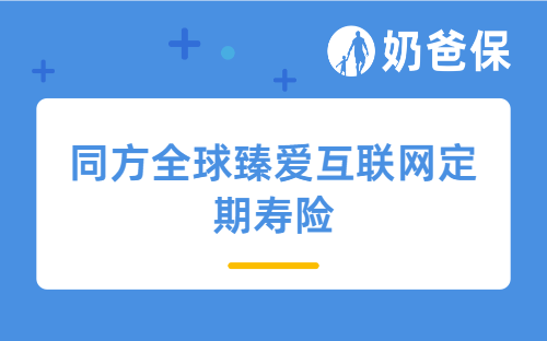 同方全球臻爱互联网定期寿险保障如何？值得买吗？