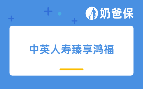 中英人寿臻享鸿福收益高吗？分红险适合哪些人买？