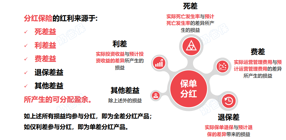 分红险的分红收益来源