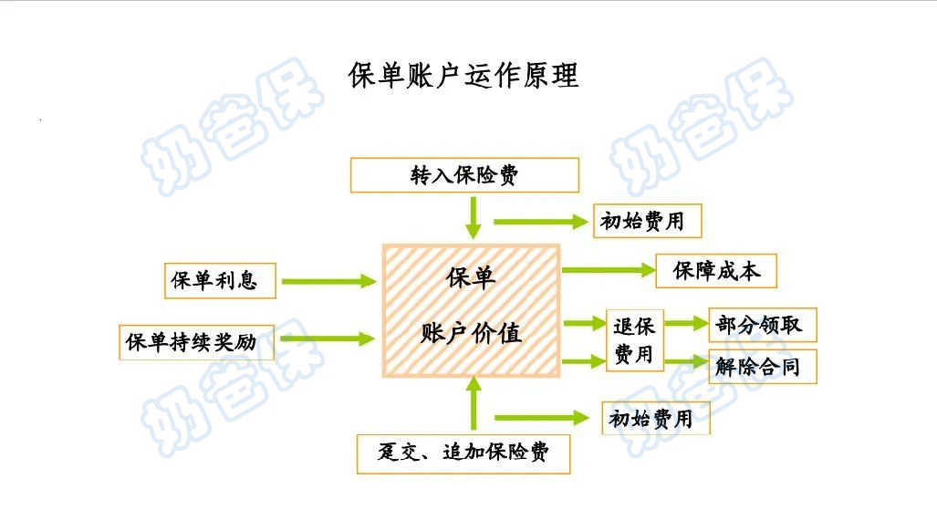 保单账户运作原理