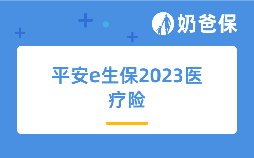 平安e生保2023医疗险保障内容详细测评，性价比高吗？