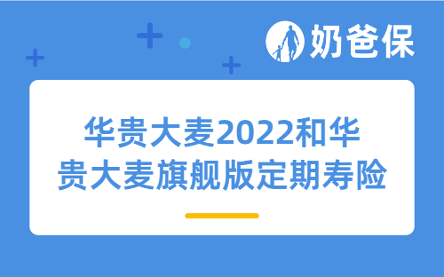 华贵大麦2022和华贵大麦旗舰版定期寿险哪个好？定期寿险如何购买最划算？