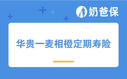 华贵一麦相橙定期寿险保障哪些内容？怎么样？2022定期寿险哪个产品好？