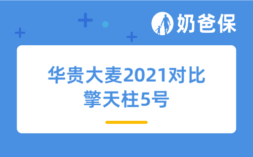 华贵大麦2021对比擎天柱5号，哪个好？