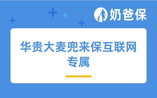 华贵大麦兜来保互联网专属怎么样？40岁买定期寿险哪款好？