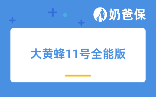 大黄蜂11号全能版保障如何？承保公司靠谱吗？