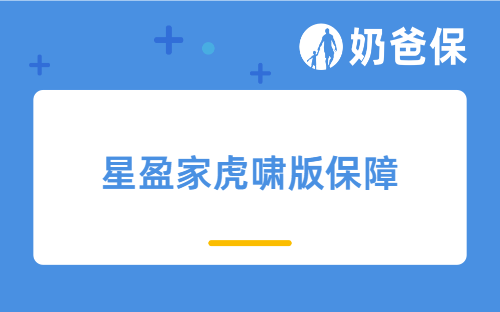 星盈家虎啸版保障怎么样？有什么产品特色？