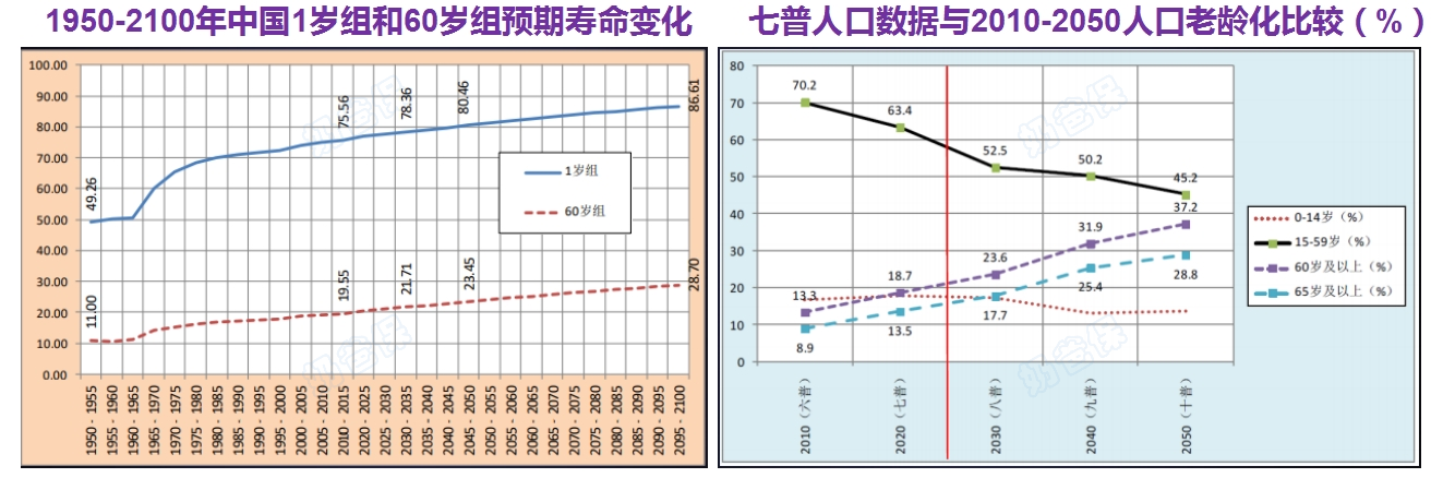 人口老龄化趋势