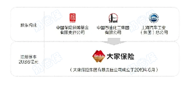 大家养老保险股东