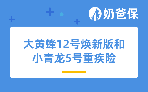 大黄蜂12号焕新版和小青龙5号重疾险有何区别？怎么选比较好？