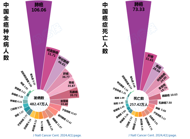我国癌症发病和死亡情况
