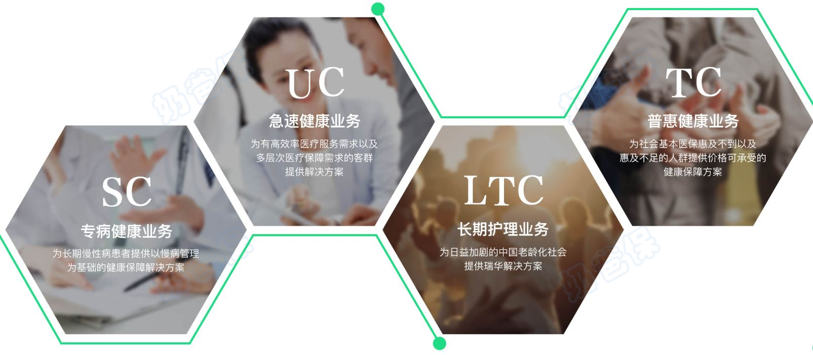 瑞华健康业务板块