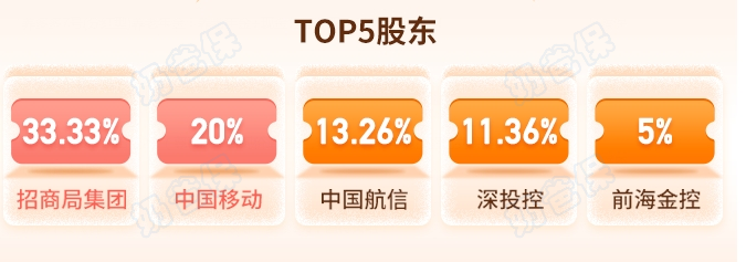 招商仁和人寿股东