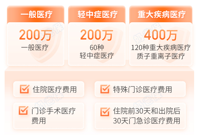 金医保2号医疗险保障