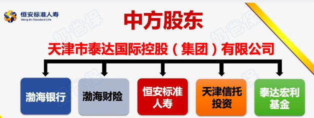 恒安标准人寿中方股东