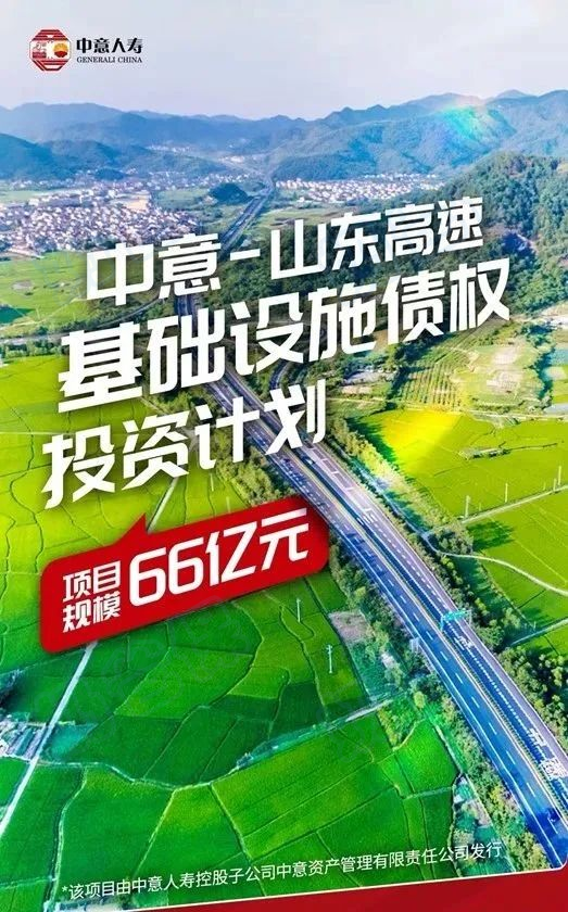 中意人寿投资项目 中意人寿投资项目