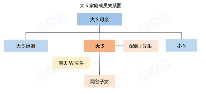 大S家庭成员关系