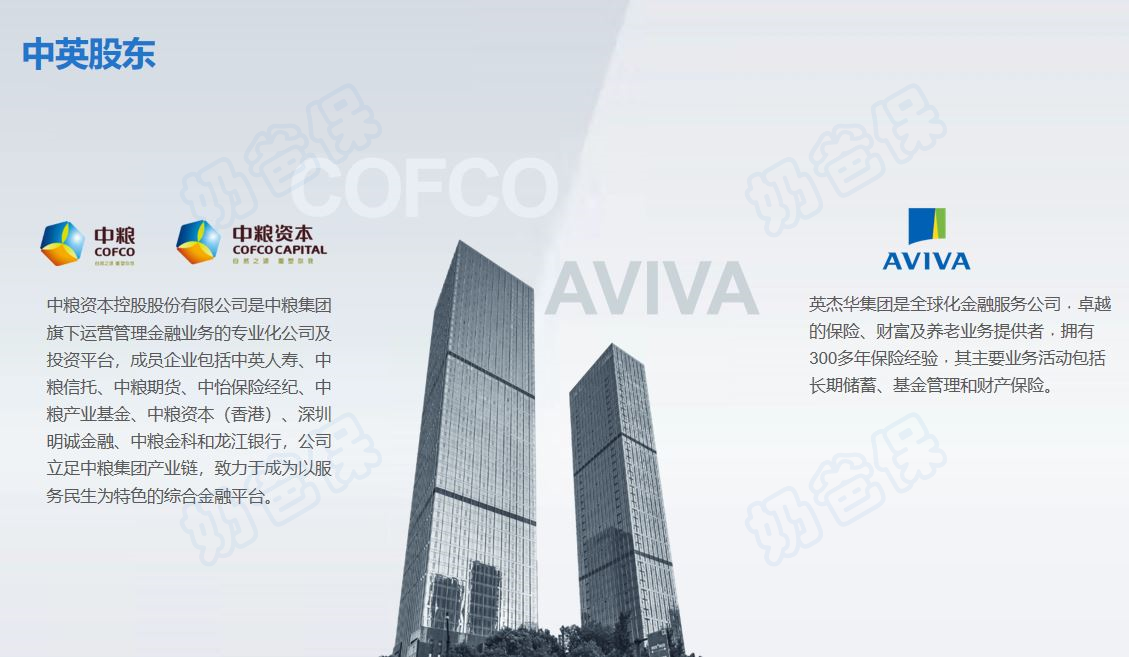中英人寿股东背景