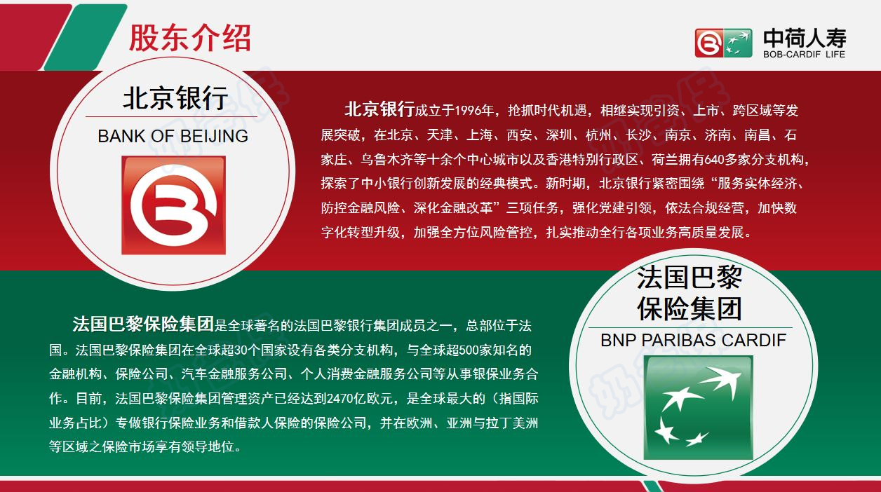 中荷人寿股东介绍