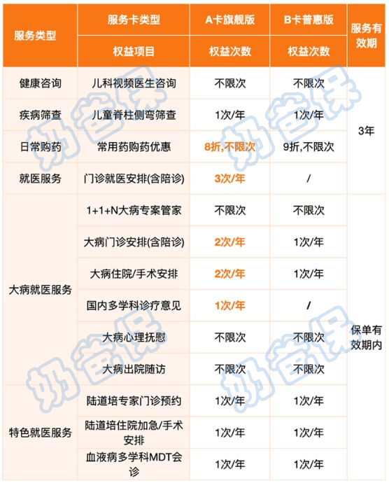 大黄蜂13号旗舰版增值服务