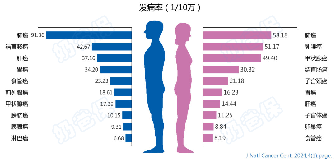 不同性别癌症发病率