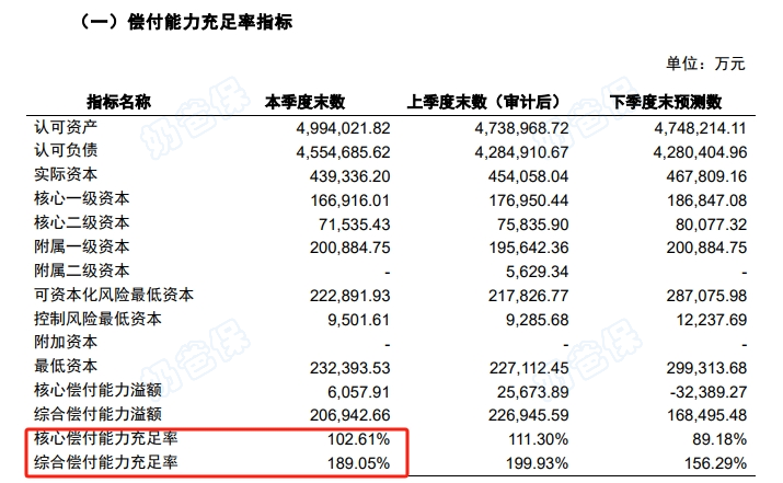 爱心人寿偿付能力