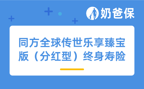 同方全球传世乐享臻宝版（分红型）终身寿险亮点、收益与选购指南